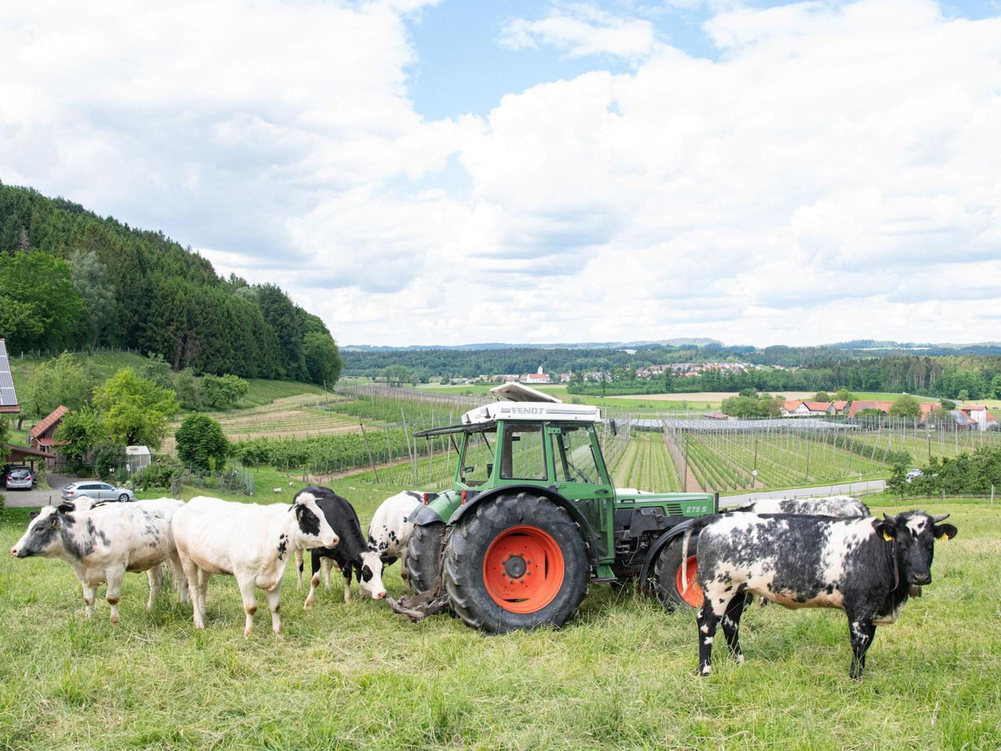 Ferienhof Biegger Tettnang Buitenkant foto